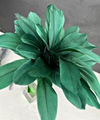 ORTASI RENKLİ KRİSTAL KARTAL TÜYÜ BÜYÜK YEŞİL GOLD