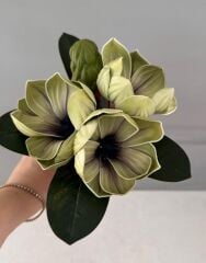 KÜÇÜK BOY LÜKS MANOLYA BUKETİ YEŞİL