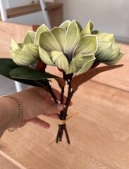 KÜÇÜK BOY LÜKS MANOLYA BUKETİ YEŞİL