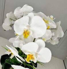 DARBELİ GOLD UFO SAKSIDA 3 DAL ORKİDE ARANJMANI