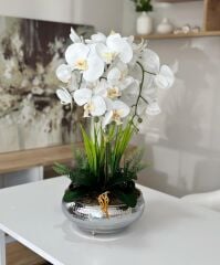 DARBELİ GÜMÜŞ UFO SAKSIDA 3 DAL ORKİDE ARANJMANI