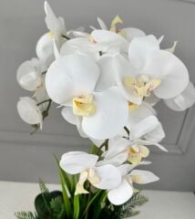 DARBELİ GÜMÜŞ UFO SAKSIDA 3 DAL ORKİDE ARANJMANI