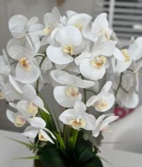 GOLD JAPON VAZODA 6 DAL ISLAK ORKİDE ARANJMANI