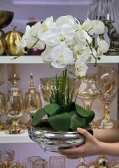 GÜMÜŞ UFO SAKSIDA 3 DAL ISLAK ORKİDE ARANJMANI