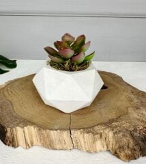 TAŞ SAKSIDA YAPAY SUKULENT ARANJMANI