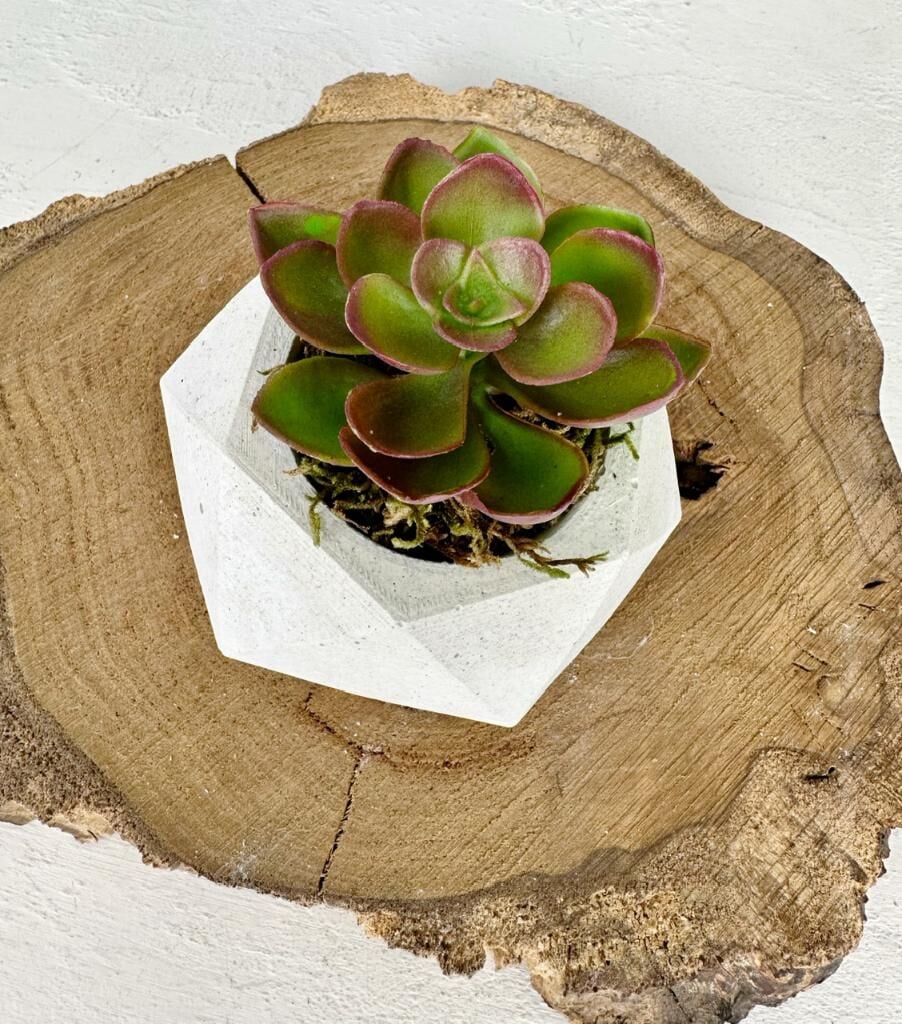 TAŞ SAKSIDA YAPAY SUKULENT ARANJMANI