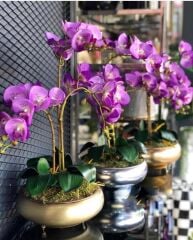 METAL UFO SAKSI ESKİTME