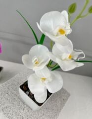 SAKSIDA YAPAY MİNİ ISLAK ORKİDE 30 CM BEYAZ