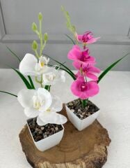 SAKSIDA YAPAY MİNİ ISLAK ORKİDE 30 CM BEYAZ