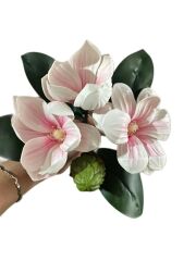 KÜÇÜK BOY LÜKS MANOLYA BUKETİ PEMBE