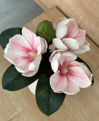 KÜÇÜK BOY LÜKS MANOLYA BUKETİ PEMBE