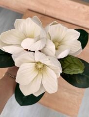 KÜÇÜK BOY LÜKS MANOLYA BUKETİ BEYAZ