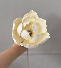 İTHAL LÜKS MANOLYA DALI KREM