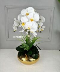 DARBELİ GOLD UFO SAKSIDA 3 DAL ORKİDE ARANJMANI