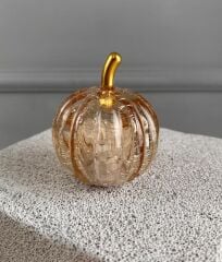 LED IŞIKLI CAM KABAK DEKOR BAL RENGİ