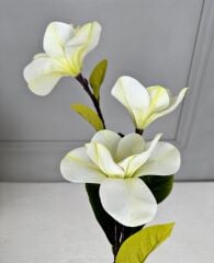 UZUN SAPLI MANOLYA ÇİÇEĞİ KREM