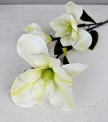 UZUN SAPLI MANOLYA ÇİÇEĞİ KREM