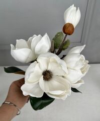 LÜKS ISLAK MANOLYA BUKETİ