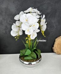 GÜMÜŞ UFO SAKSIDA 3 DAL ISLAK ORKİDE ARANJMANI