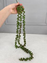 YAPAY SARKIT TOMURCUKLU ÇİÇEK