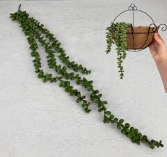 YAPAY SARKIT TOMURCUKLU ÇİÇEK